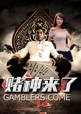 国产精品入口麻豆免费观看